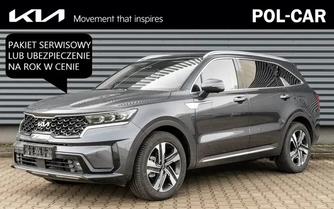 Kia Sorento cena 244700 przebieg: 5, rok produkcji 2023 z Sława